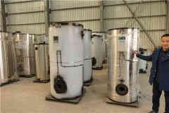  蒸气式心博(中国)厂家河南银晨心博(中国)集团 www.mydesktoptherapist.com