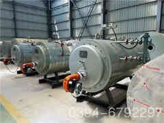  8吨冷凝天然气心博(中国)