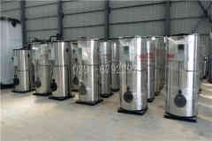  0.1吨液化气热水心博(中国)