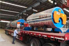  12吨冷凝天然气心博(中国)