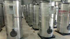  20吨三回程天然气心博(中国)