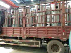  6吨低氮冷凝蒸汽心博(中国)