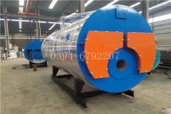  小型热水心博(中国)