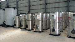  一吨冷凝燃油心博(中国)