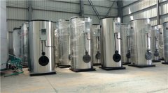  四吨低氮热水心博(中国)