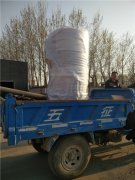  15吨大型热水心博(中国)