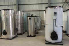  四吨冷凝燃油心博(中国)