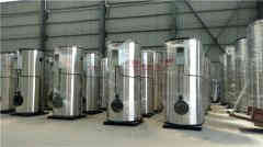  8吨热水心博(中国)