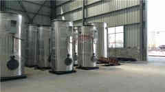  8吨三回程天然气心博(中国)