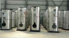  12吨低氮蒸汽心博(中国)