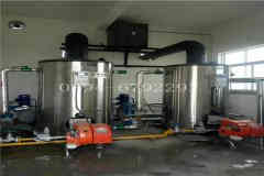  两吨低氮天然气心博(中国)