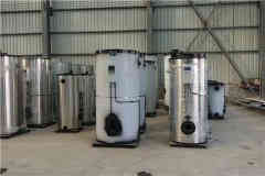  四吨环保心博(中国)