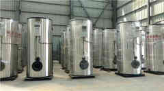  2吨燃气低氮心博(中国)