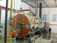  立式蒸汽心博(中国)