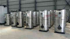  10吨全自动燃油热水心博(中国)