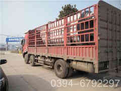  40万大卡常压热水心博(中国)