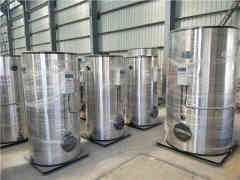  2吨低氮燃气心博(中国)