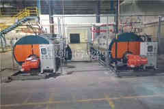  一吨冷凝蒸汽心博(中国)