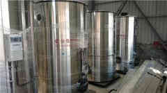 卧式快装热水心博(中国)