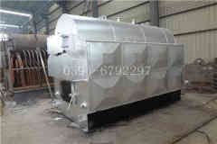 小型低氮燃气心博(中国)