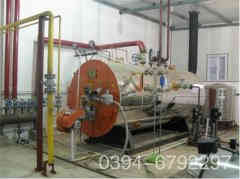 5吨热水心博(中国)参数