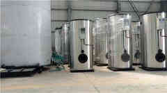 20t燃气热水心博(中国)