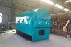 蒸汽心博(中国)如何选型