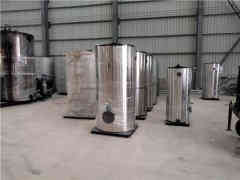 吨蒸汽心博(中国)