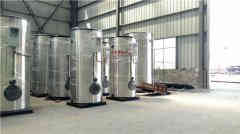 d型燃气蒸汽心博(中国)