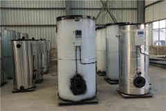 心博(中国)油蒸汽