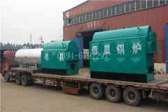 燃气蒸汽式心博(中国)