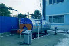 立式燃煤蒸汽心博(中国)价格