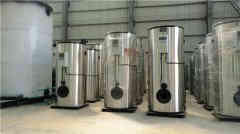 蒸汽心博(中国)结构