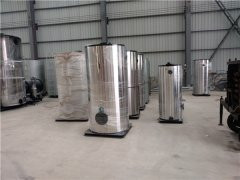 CWNS2.8型燃油气热水心博(中国)