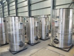 3吨柴油蒸汽心博(中国)