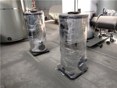 1吨低氮冷凝心博(中国)