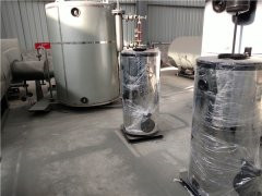 天然气低氮蒸汽心博(中国)