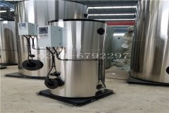 0.5吨燃油蒸汽心博(中国)