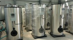 2吨燃油燃气热水心博(中国)