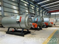 20吨天然气低氮心博(中国)