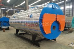 20吨低氮燃气心博(中国)