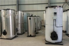 12吨冷凝燃油心博(中国)