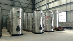 10万大卡燃油真空心博(中国)