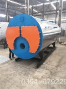 8吨低氮冷凝心博(中国)