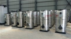 12吨电加热热水心博(中国)