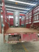 0.5吨低氮冷凝心博(中国)