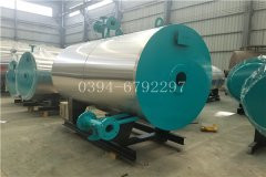 10吨生物质蒸汽心博(中国)