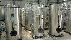 燃气6吨热水心博(中国)