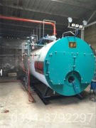 立式蒸汽心博(中国)厂