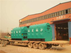 2吨燃气心博(中国)参数